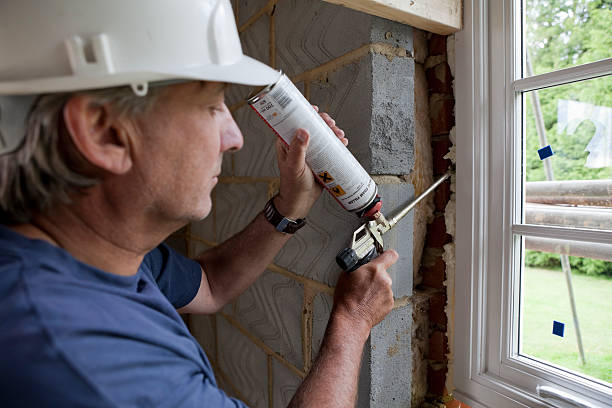 Best Eco-Friendly Insulation in Frankford, DE