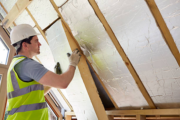 Types of Insulation We Offer in Frankford, DE